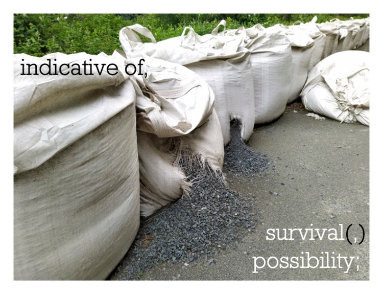 Black and white text over an image of 15 large sand and gravel bags for flooding. Two of the bags are ripped open with their contents spilling onto the walkway. Another bag is slumped over. the text reads indicative of survival, possibility
