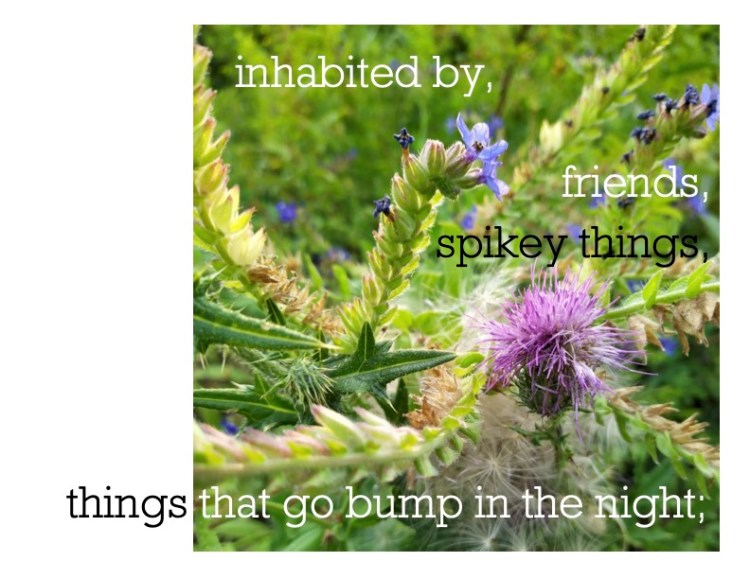 Black and white text over an image of wild flowers. The text reads inhabited by friends, spikey things, things that go bump in the night