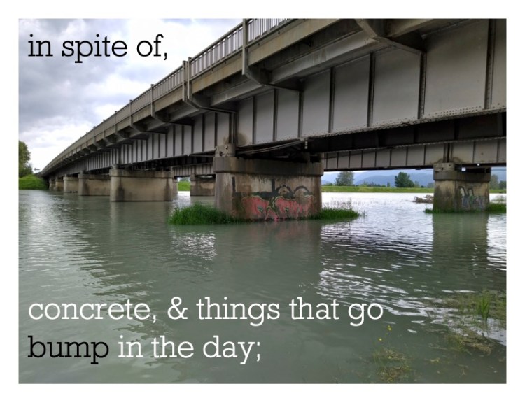 Black and white text over an image of a concrete bridge. the text reads in spite of concrete and things that go bump in the day