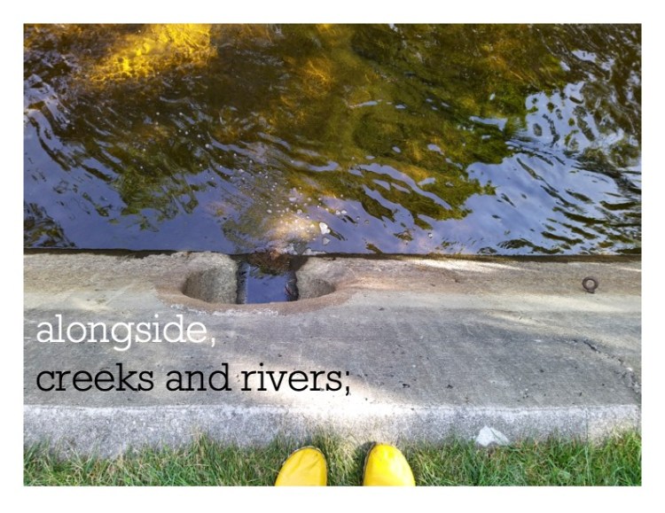 Black and white text over an image of a concrete waterway. The tips of Madi's yellow sit on the grassy edge of the concrete. The text reads alongside creeks and rivers