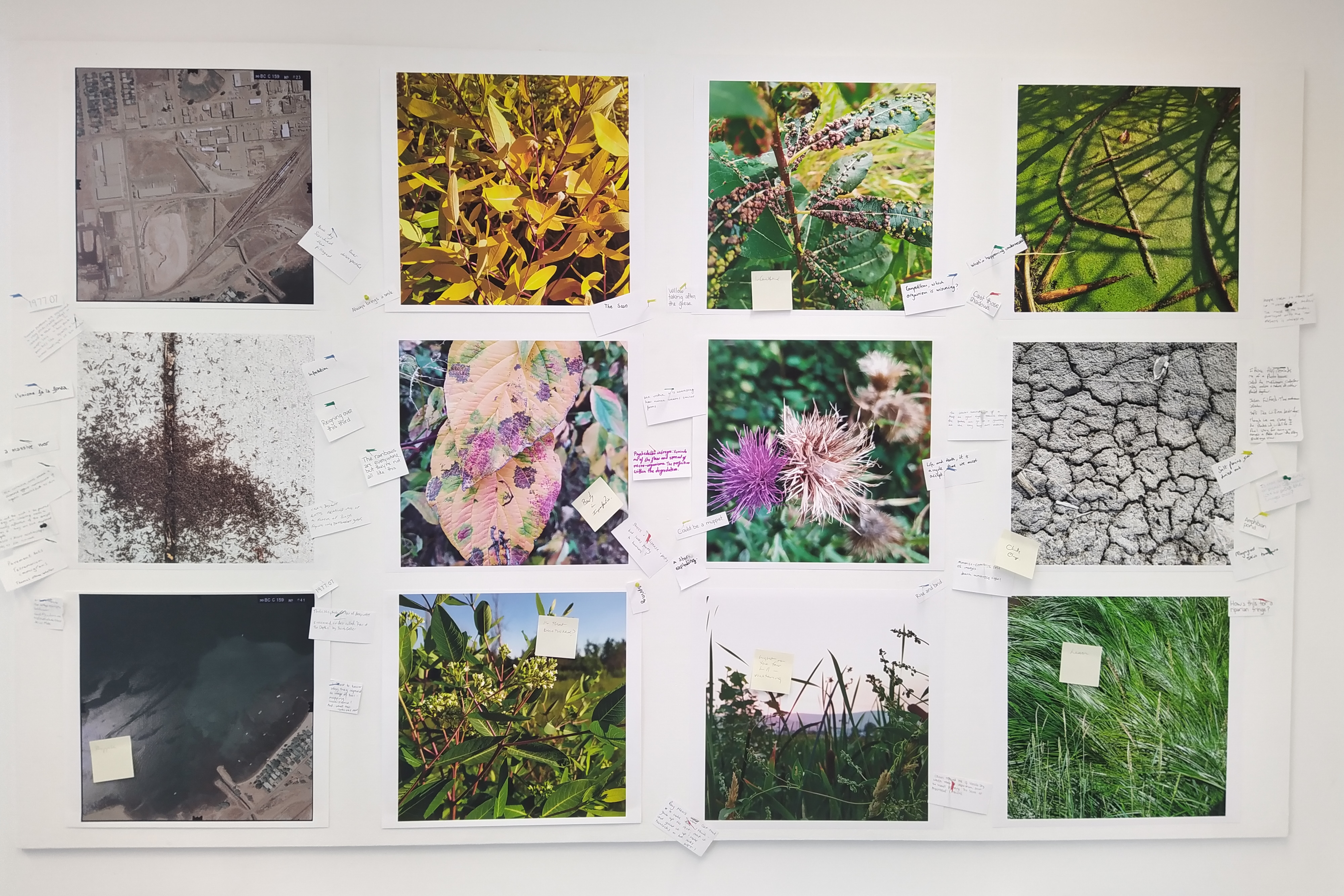 Twelve colourful, plant-filled photos pinned to a white wall in a grid. Between the photos are note cards pined to the walls with different handwriting on each of them.