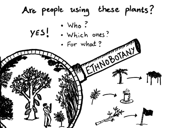 A black and white sketch